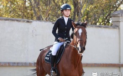 嗯又粗又长插的好深太舒服了